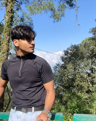 afjal - Chandigarh model