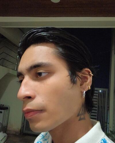 manveer - Bhilai model