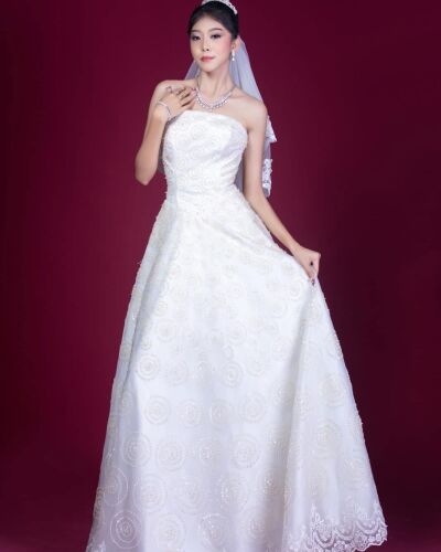 han - Singapore model