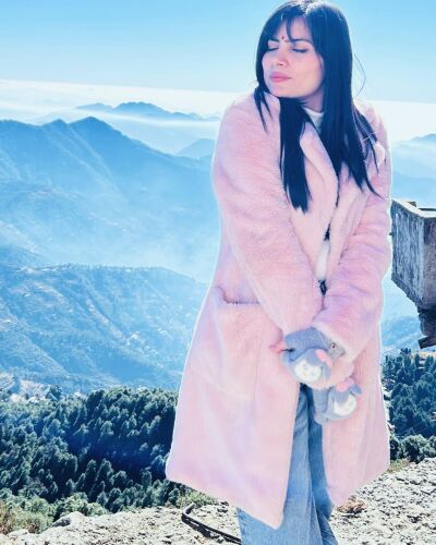 anju - Gurgaon model