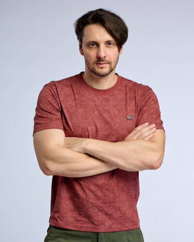 Artem - Phnom Penh model