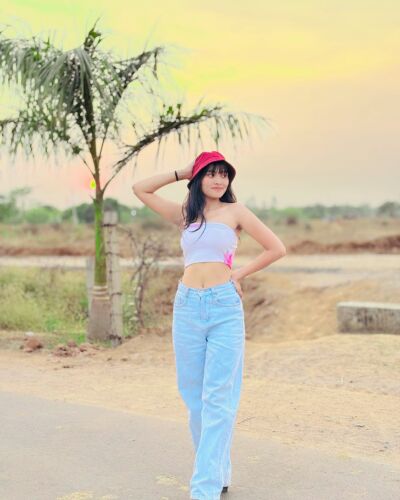 tarini - Bhilai model