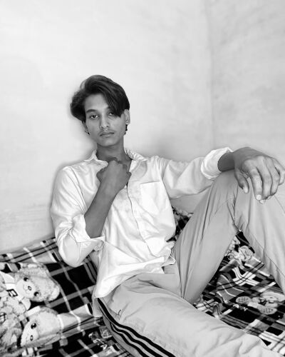 ashok srivash - Rajwada model