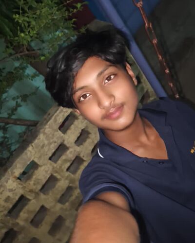 ahsan - Jamtara model