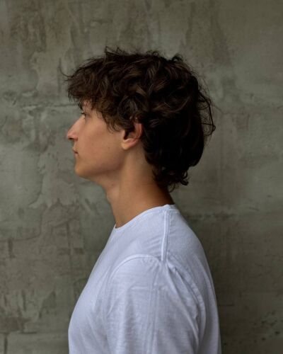 david